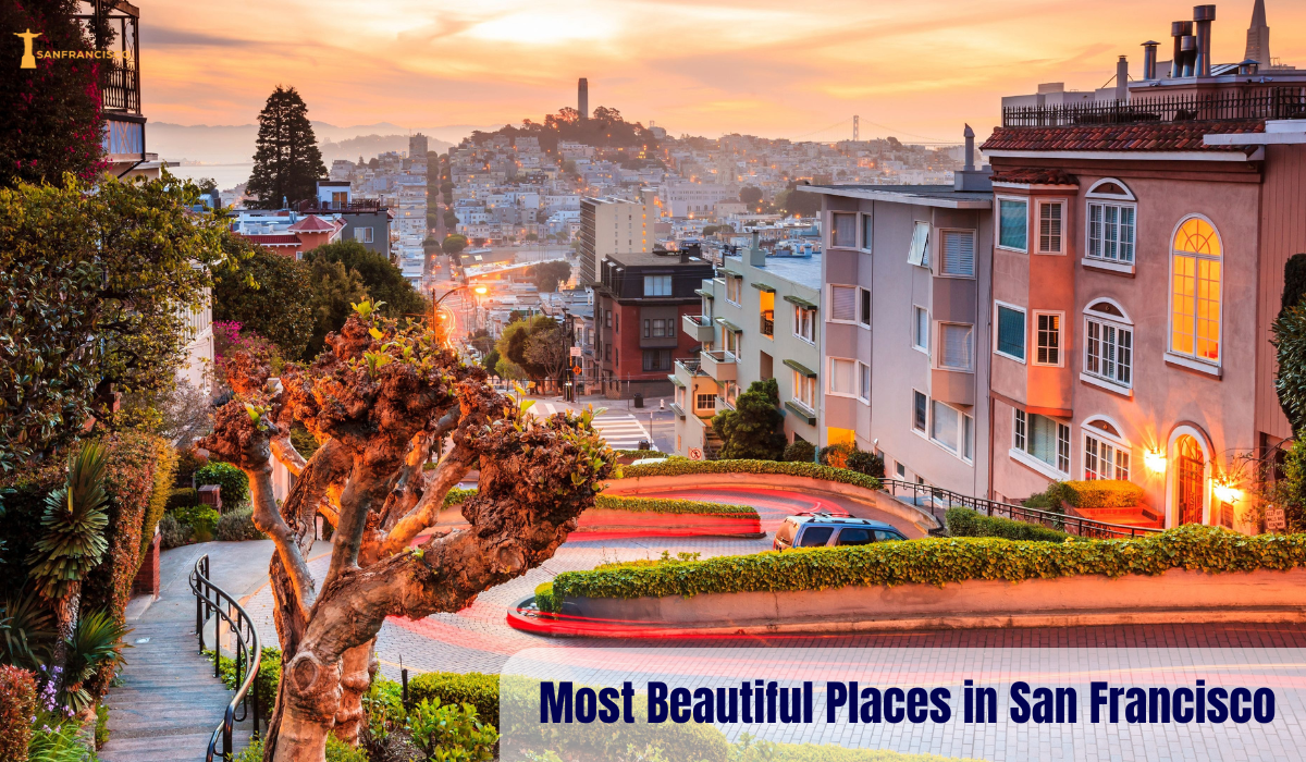Most Beautiful Places in San Francisco  My Unforgettable Journey