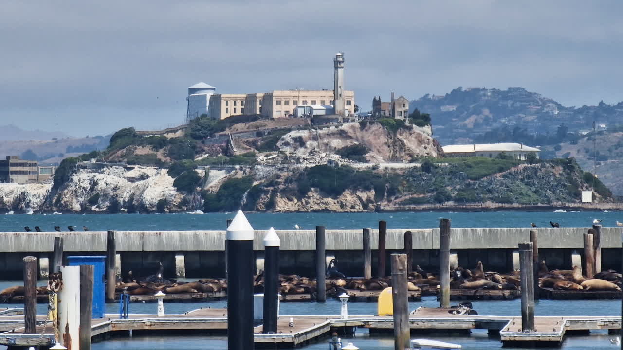 Full-day San Francisco City and Alcatraz Tour Experience